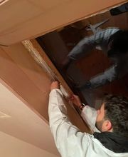 SafeHome Schädlingsbekämpfung Köln Bild 5