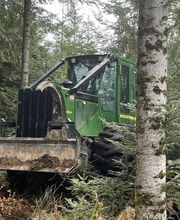 B Bois Forêts image 6