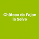 Château De Fajac La Selve