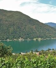 Centro Funerario Pellegrini & Perni Sa Bild 3