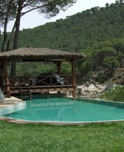 Lallana Pol imagen 6