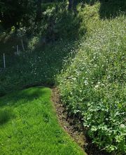 Giardiniere Hagmann Di Carlo e Pichierri SAGL Bild 5