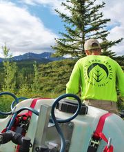 Aspen Tree Service - SavATree image 5