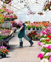 Blumen Hauke Bild 1