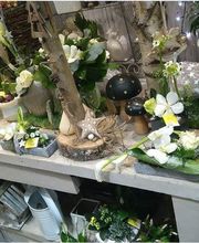 Le Temps D'une Fleur image 4