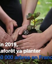 Agence immobilière Laforêt La Rochelle image 3