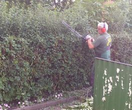 Gartenpflege