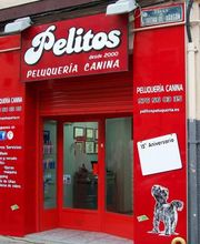 pelitos-peluqueria-canina_7057_0_600.jpg