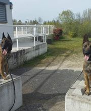 Antho Educanine image 8