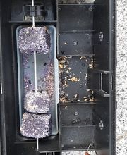 MG Schädlingsmanager GmbH Bild 2