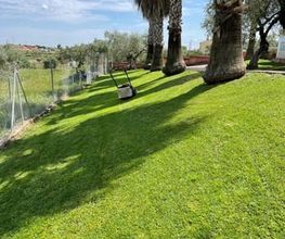 Corte_cesped_Jardineria_del_Oeste_Merida_Badajoz.jpeg