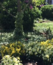 Browder-Hite image 7