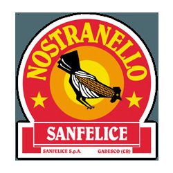 Sanfelice S.p.a. logo