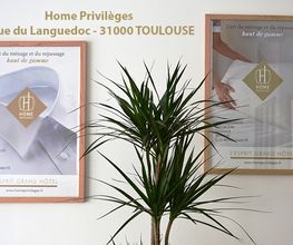 Home Privileges image 5