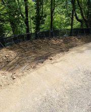 Carlo Bagutti Giardiniere Bild 4