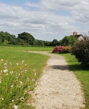 Ted Multiservices image 7