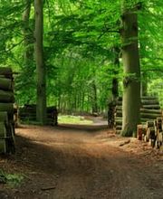 Jackels Kaminholz Bild 1