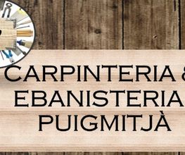 logopuigmitja.jpg