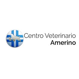 Ambulatorio Medico Veterinario Dr. Persichetti Piero logo