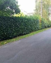 Natur & Florum image 9