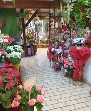 Blumen-Ecke Romana Hoss Bild 1
