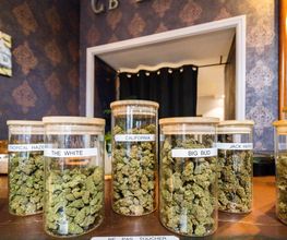 CBZEN CBD image 7
