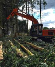 Forestière De La Roche SA image 3