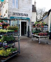 Strassel Fleurs image 3