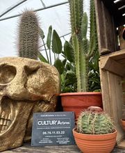 Cultur'Arbres image 5