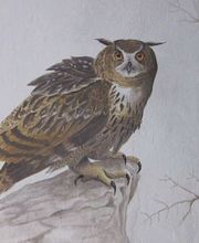 Aggeler-Ackermann GmbH