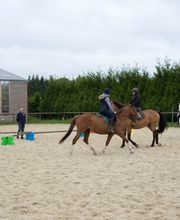 Centre équestre La Sabretache Les Chevaux de saint Victor image 5