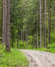 FriedWald Hegau Bild 6