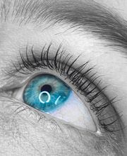 Lashes ´n´more Bild 13