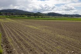 LANDI Laden und Agrar-Center Adlikon