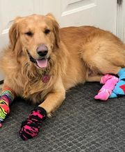 Barkley Heating & Air LLC image 8