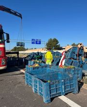 Jorge y Sara imagen 14