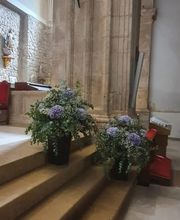 centrosfloraleslilas.jpg