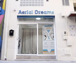 Aerial Dreams imagen 3