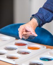 LES LUNETTES D'ALICIA image 1