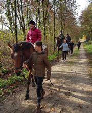 Ruitersportcentrum Seurenheide