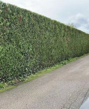 Normandie paysage image 2