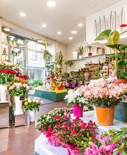 Floraly image 4