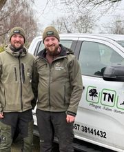 Baumpflege Niedrig – Tim Niedrig Bild 2