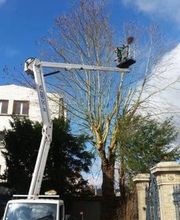 Molin Espaces Verts Environnement image 1