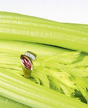 Frischmuth Christine Bild 3