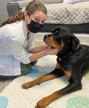 Paumanok Veterinary Hospital image 1