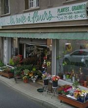 La Boite A Fleurs image 1