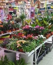 Bricomarché Cabestany image 4