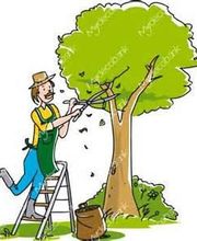 Pépinières Des Amognes image 2