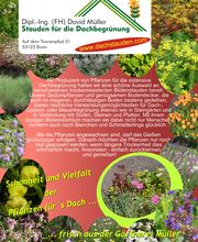 Staudengärtnerei David Müller Bild 6